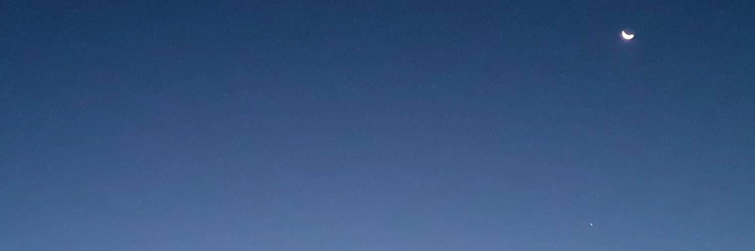 Mapalmas's profile banner image