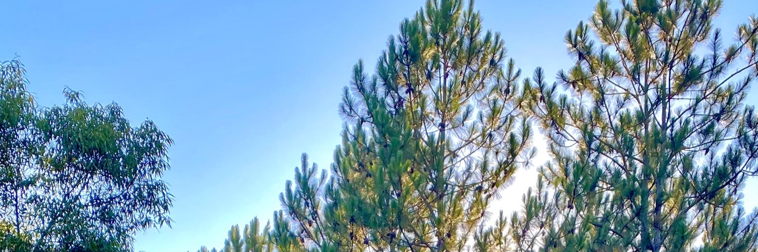 AntonelaDer's profile banner image
