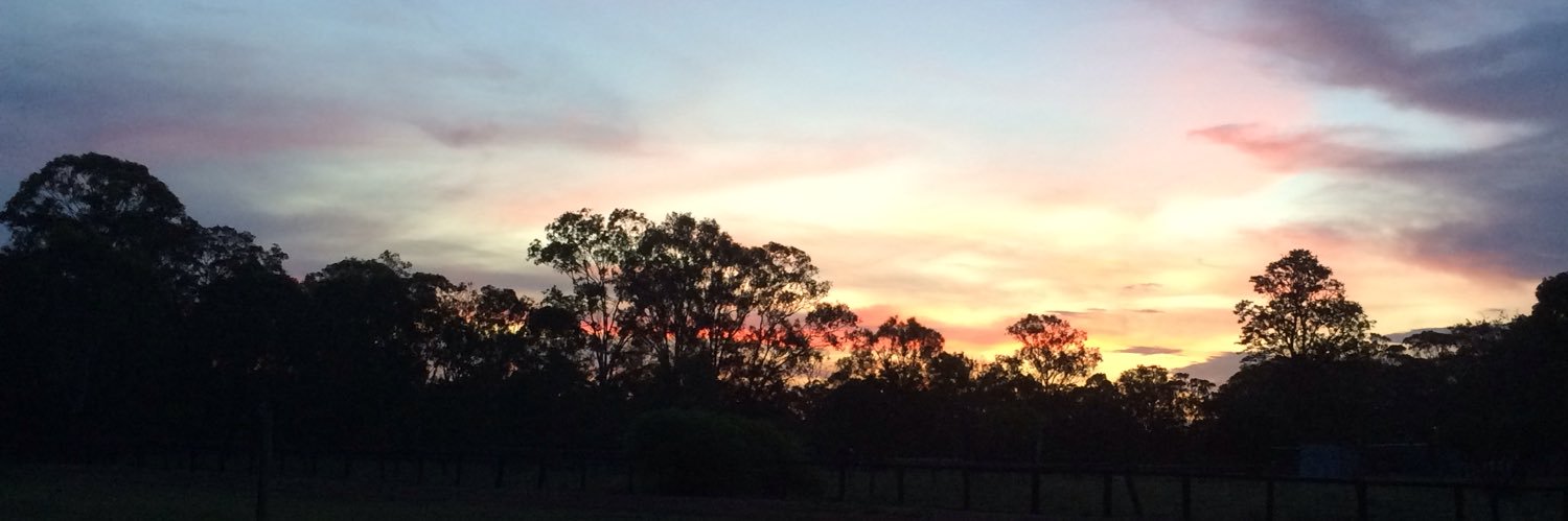 Georgia ♿️🧶 banner