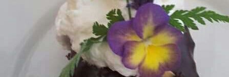 lucciacara's profile banner image
