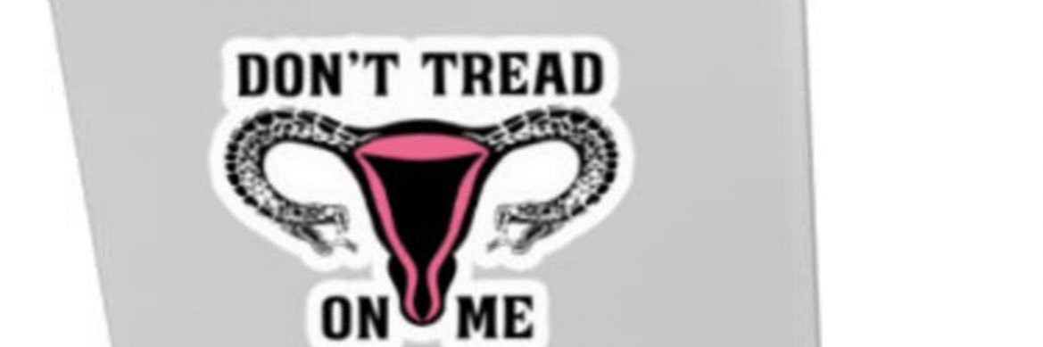 NotTooPCMom's profile banner image