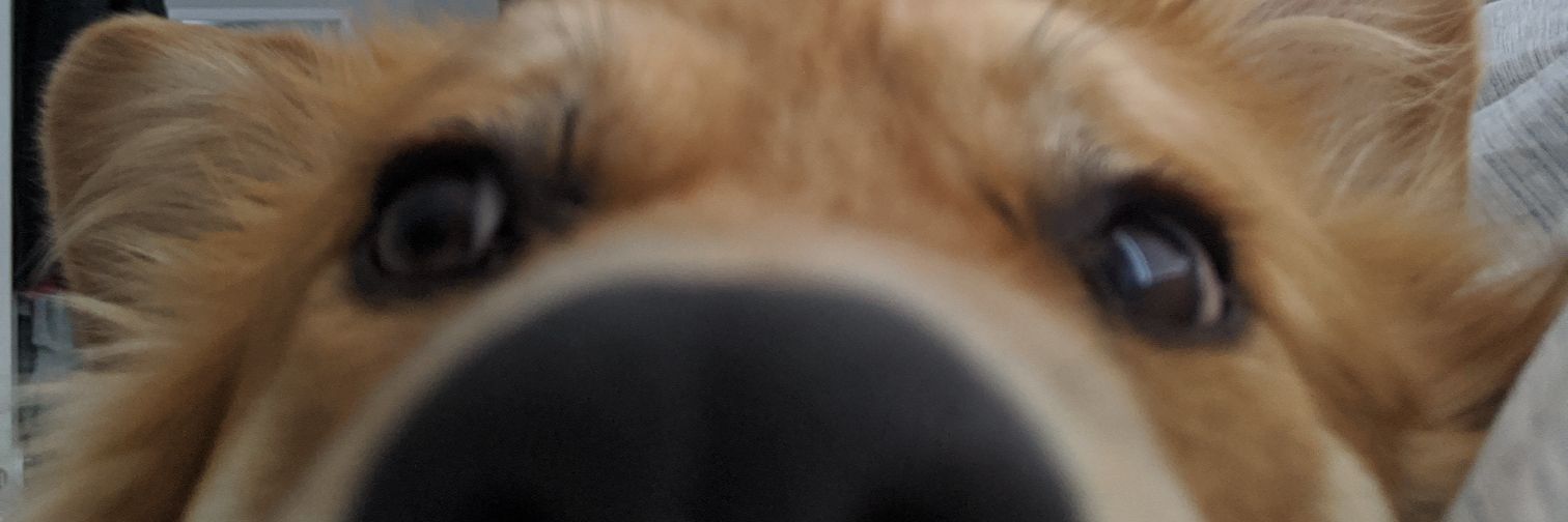 JuulAidJammer's profile banner image