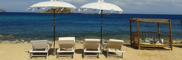 lucyscarbonara Profile Banner