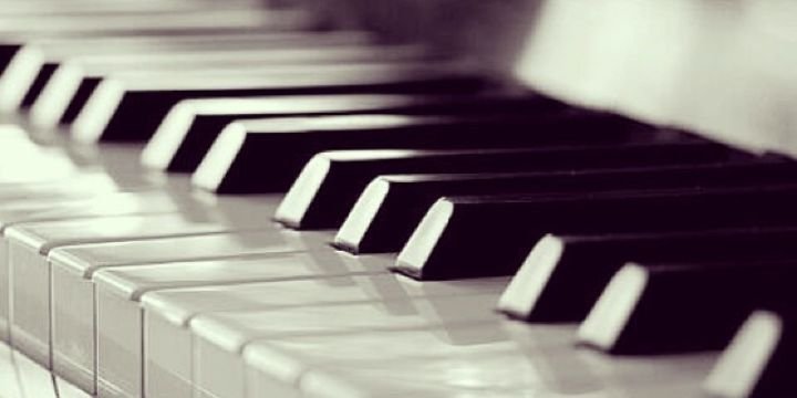 YolandaSnchz's profile banner image