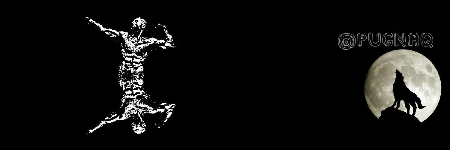 PugnaQ's profile banner image