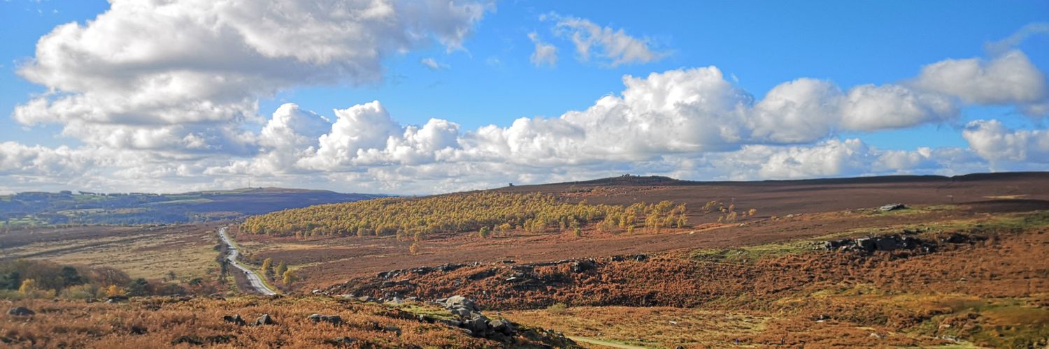 Beverley 🌼 banner