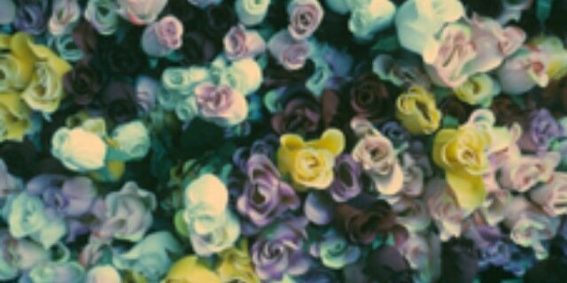 danisallis's profile banner image