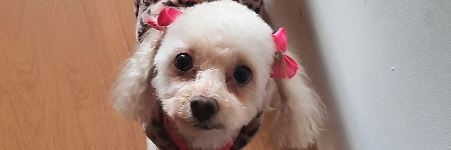 MeeyPonce's profile banner image