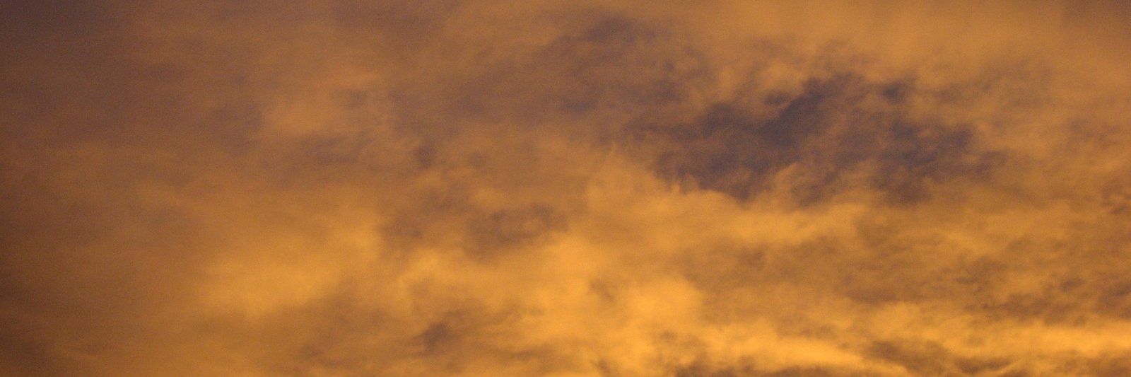 ☼ Zaranorte ☂ banner