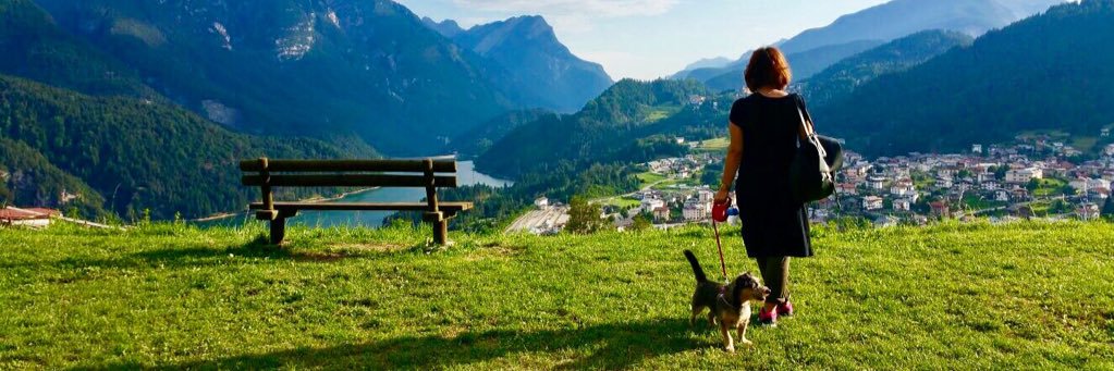 Diletta_DP's profile banner image