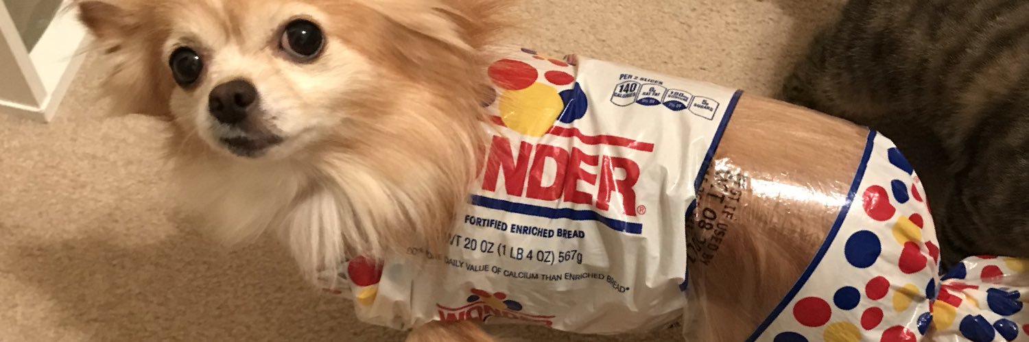 baileyburrr's profile banner image