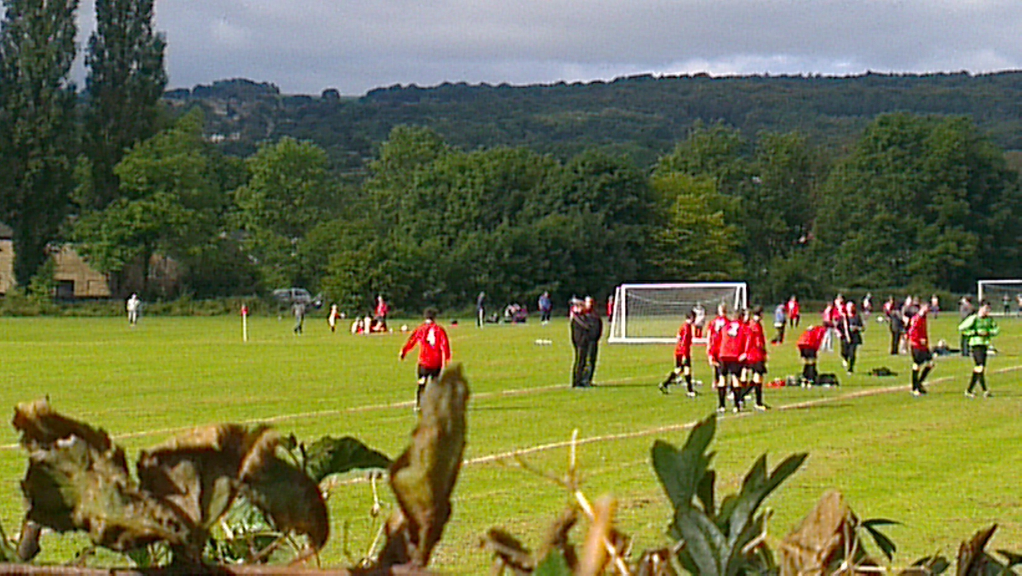 ECCLESFIELD RED ROSE banner
