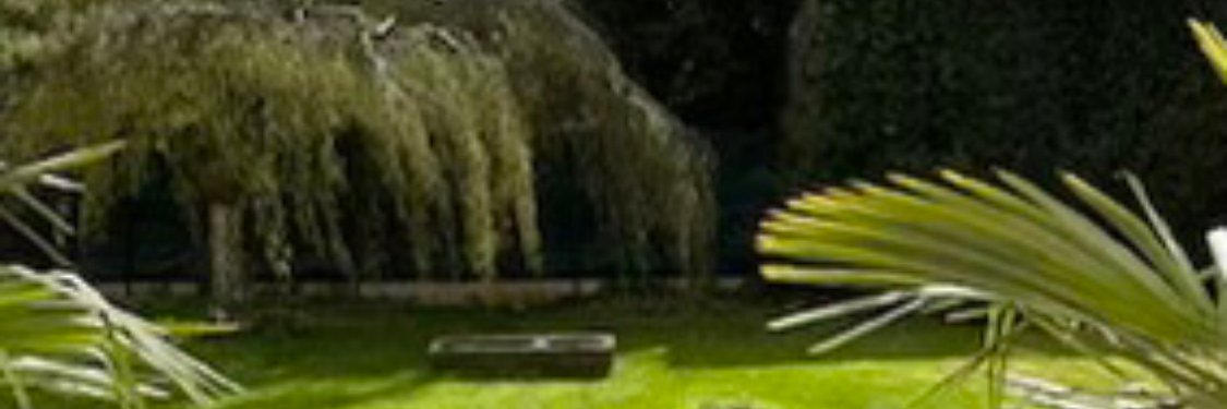 pat_ler's profile banner image