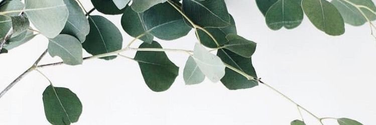 _mce11's profile banner image