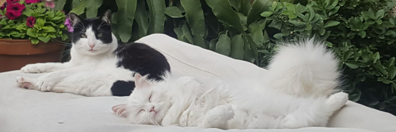 VonGemix's profile banner image