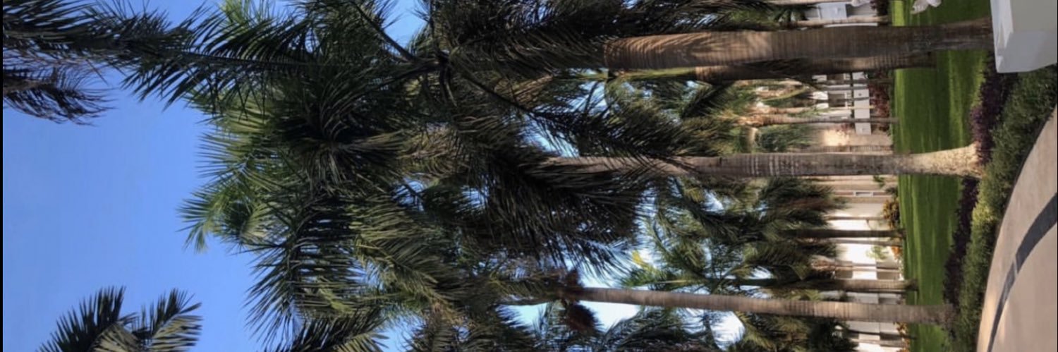 lordkelss's profile banner image