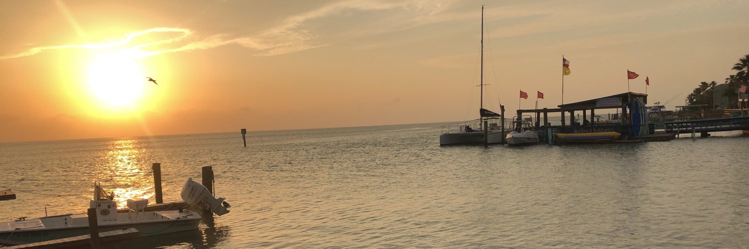 laur_06's profile banner image