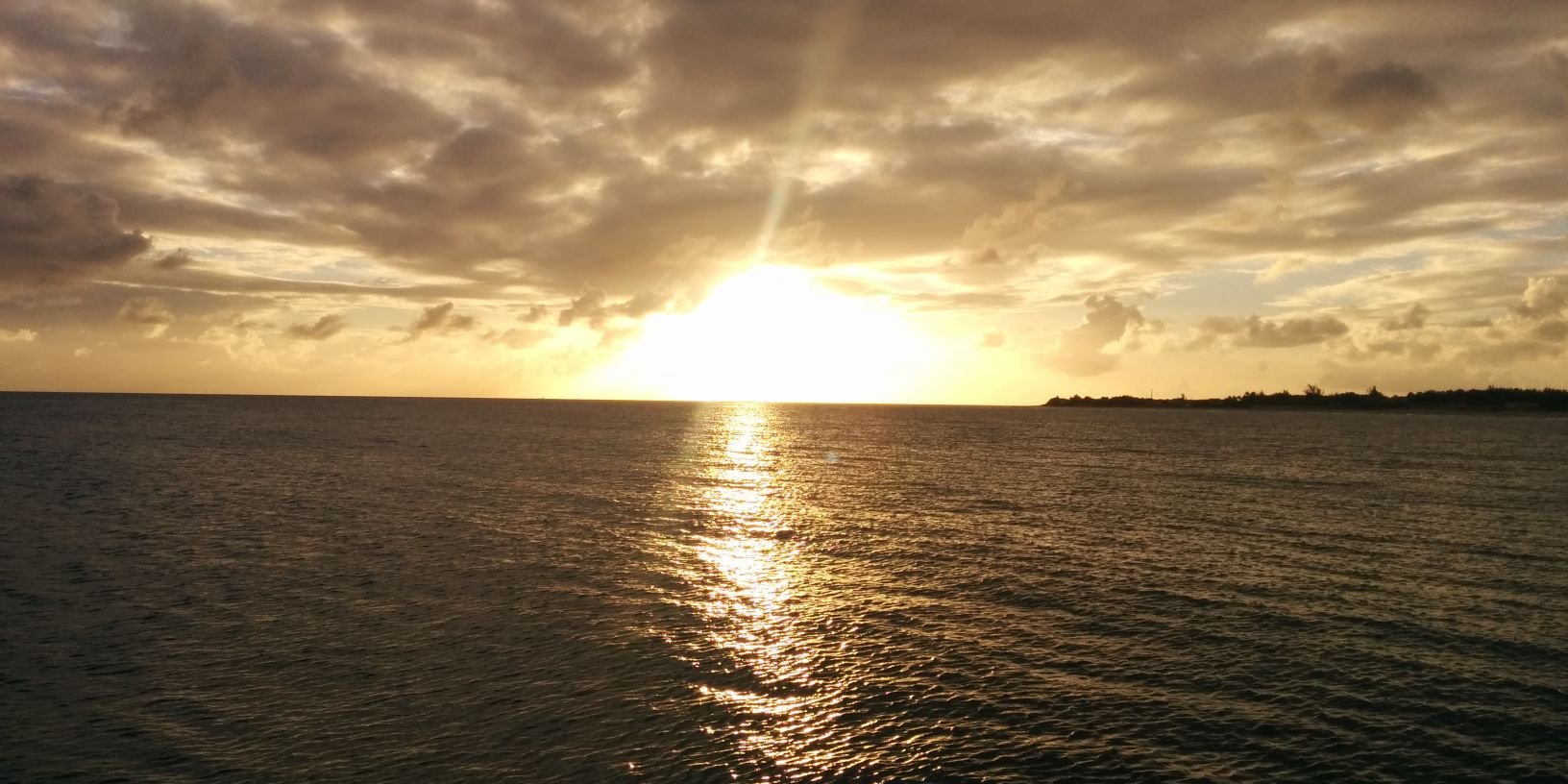 qhhoward's profile banner image