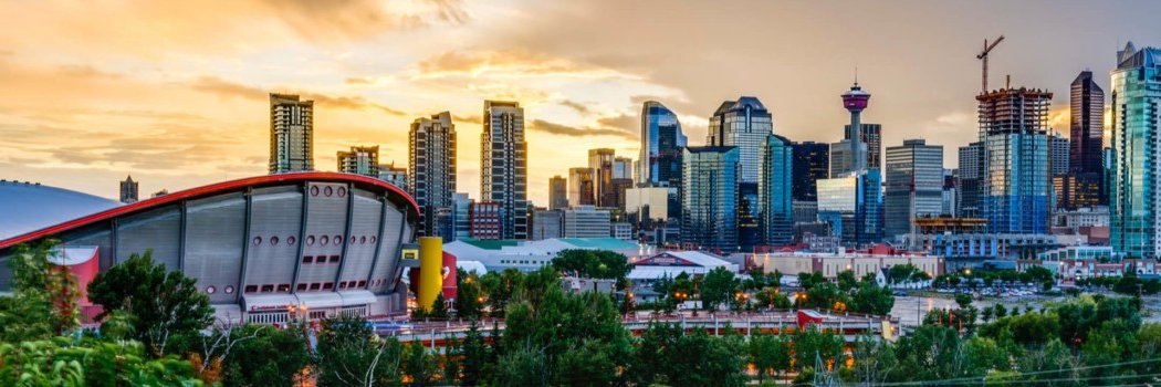 Gianfranco Campos banner