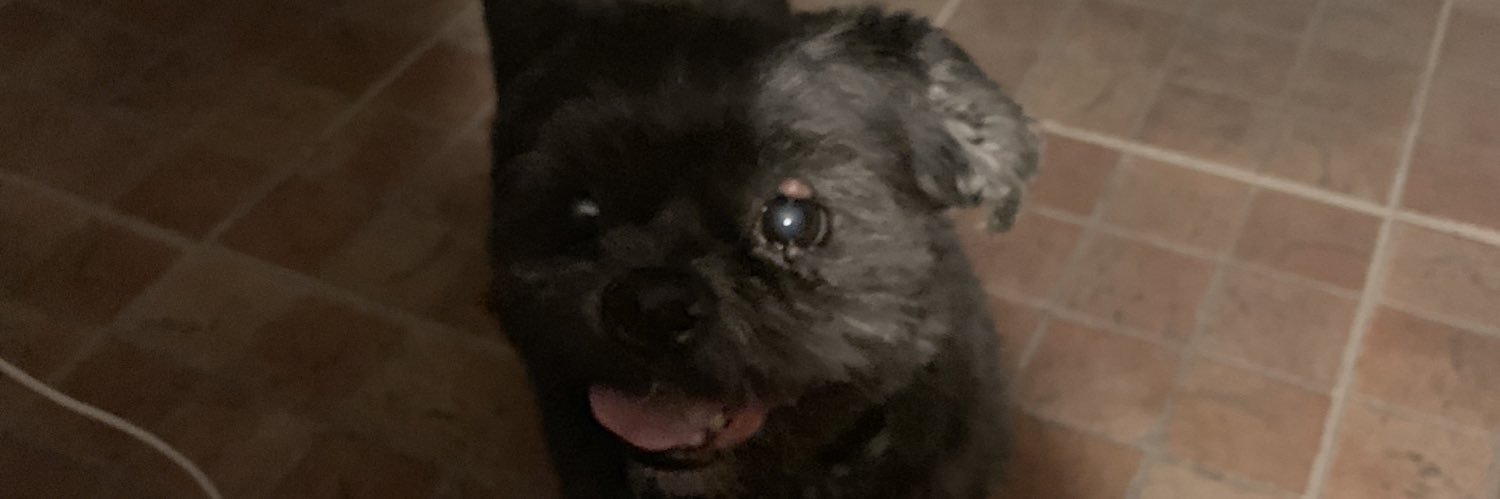 duckmandrew's profile banner image
