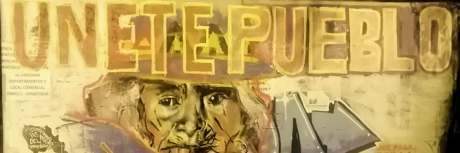 Diego Vintimilla 🔻 banner