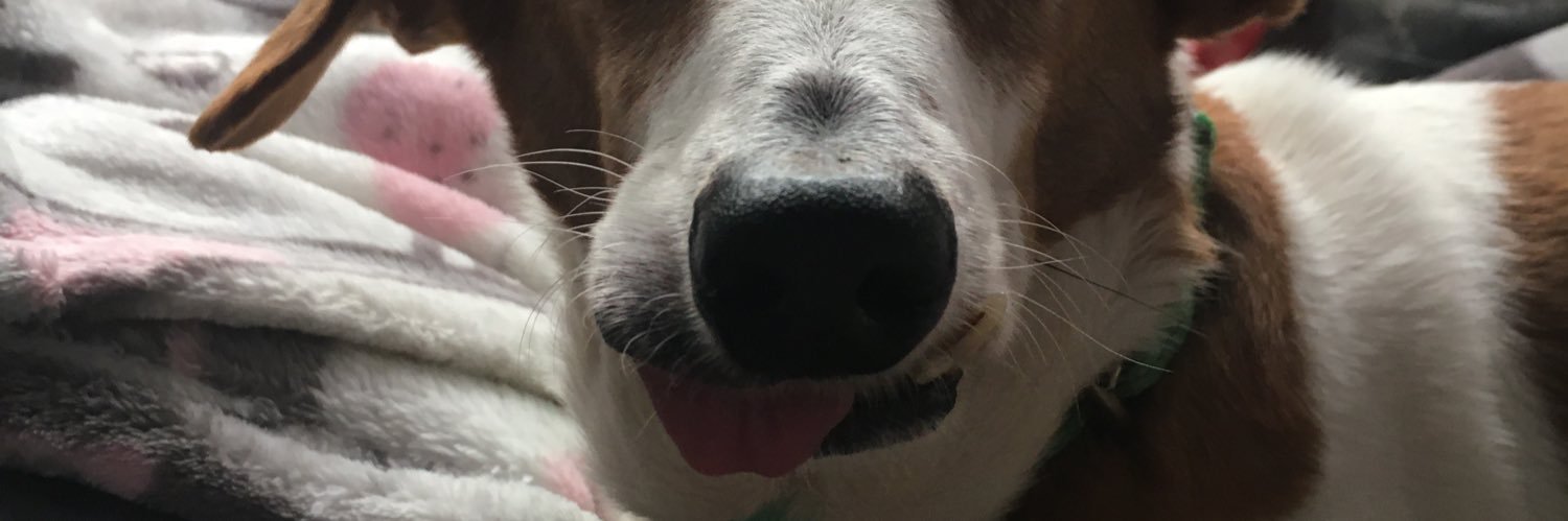 ayjueputa_'s profile banner image