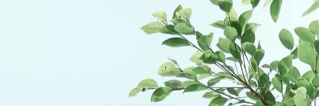 bianca_burkin's profile banner image