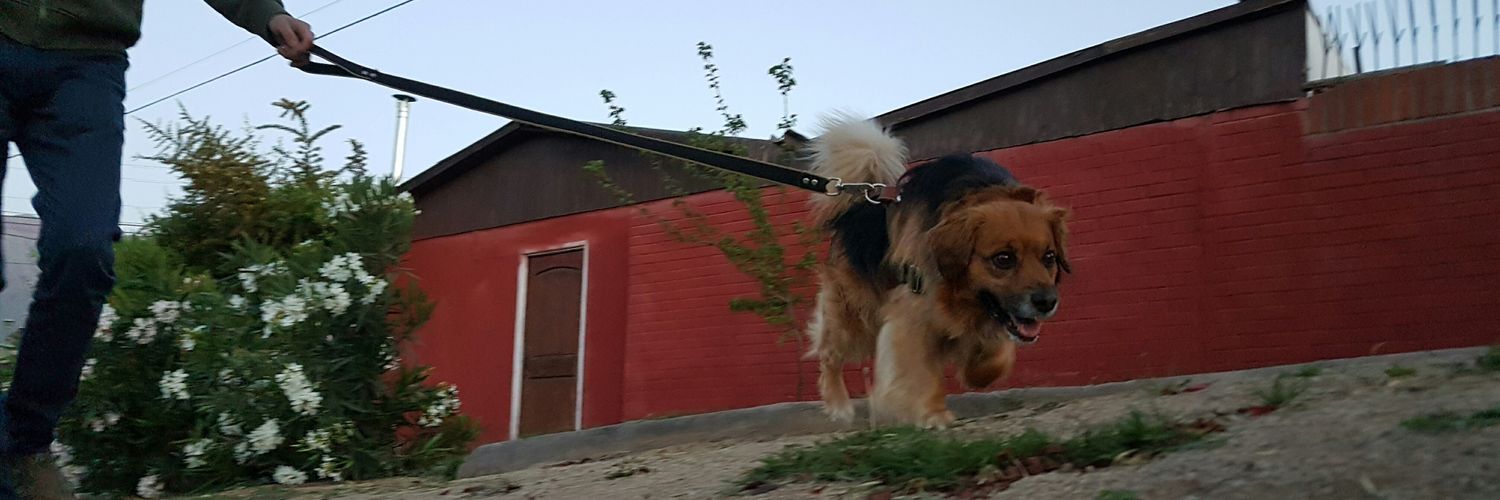 SimonMS8's profile banner image
