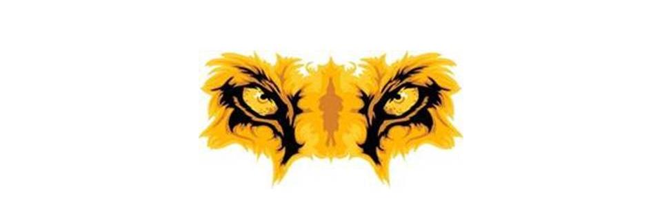 WHSsafeandsound's profile banner image