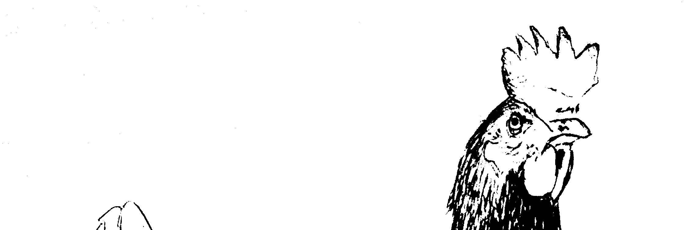 yeahtwoERs's profile banner image