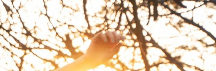 CariiJonas's profile banner image