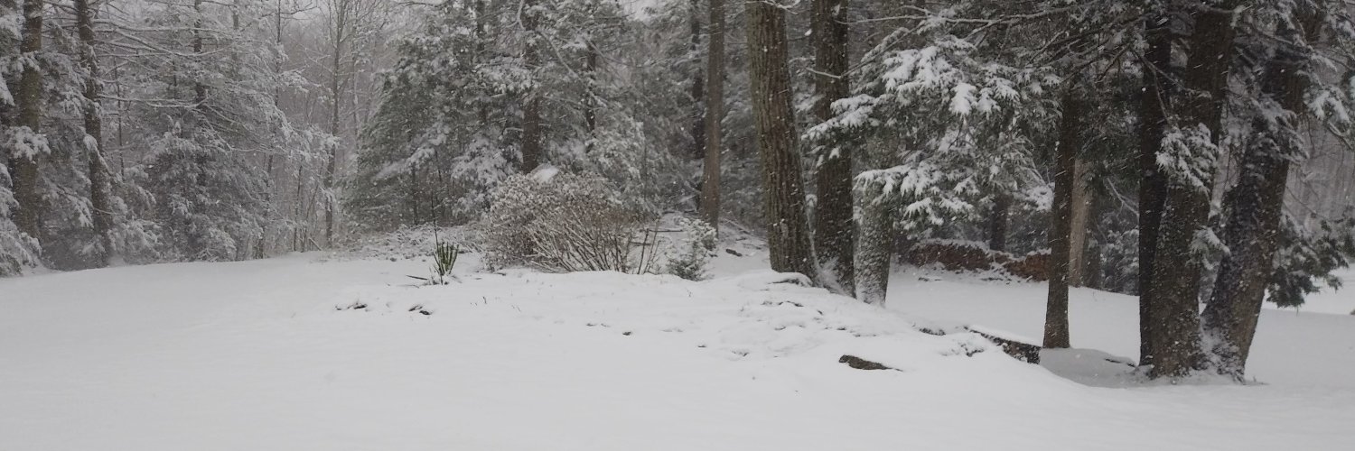 GanemPaul's profile banner image