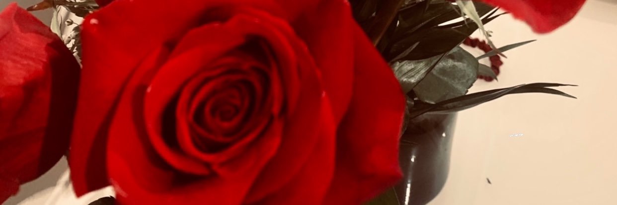 Lucia_TG's profile banner image