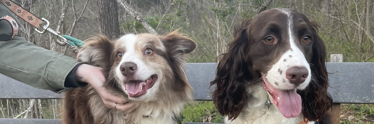 graceelynn's profile banner image