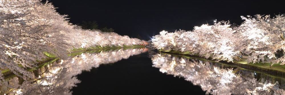 DM86490240's profile banner image