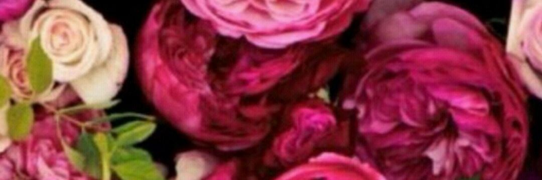 Frido05's profile banner image