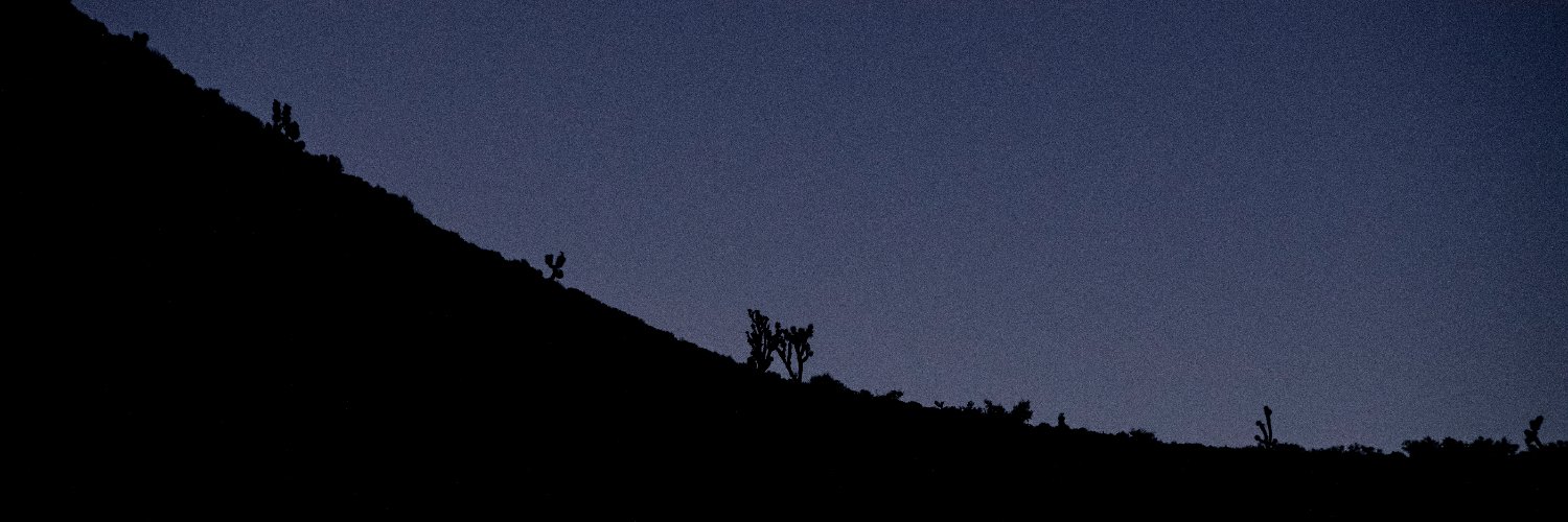 Bridget Bennett banner