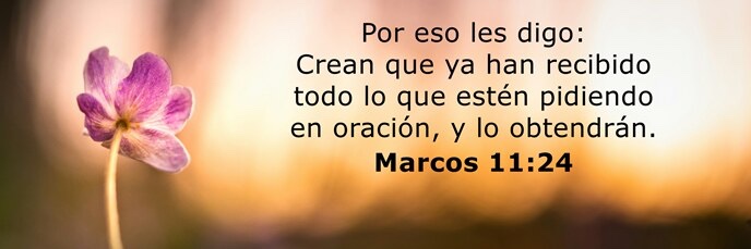 lecturasvivas's profile banner image