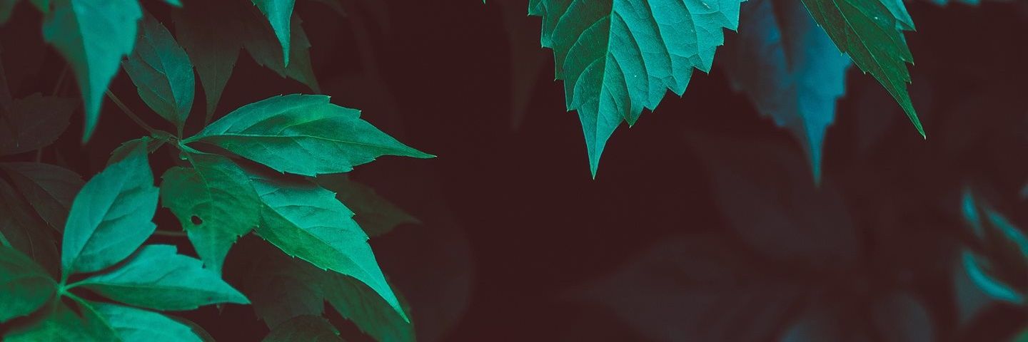 Glcnball's profile banner image