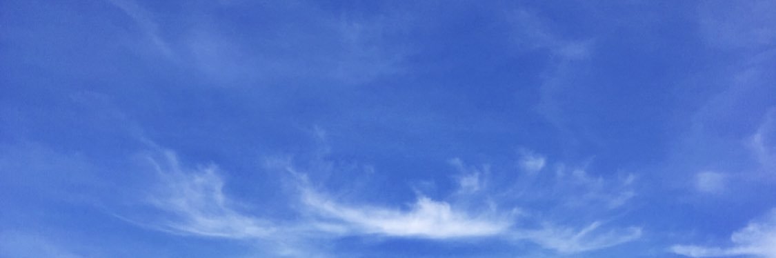 oliviaellee's profile banner image