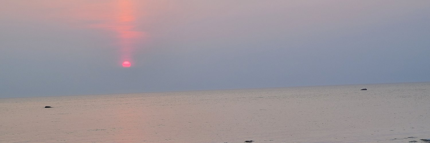 Suzin67's profile banner image