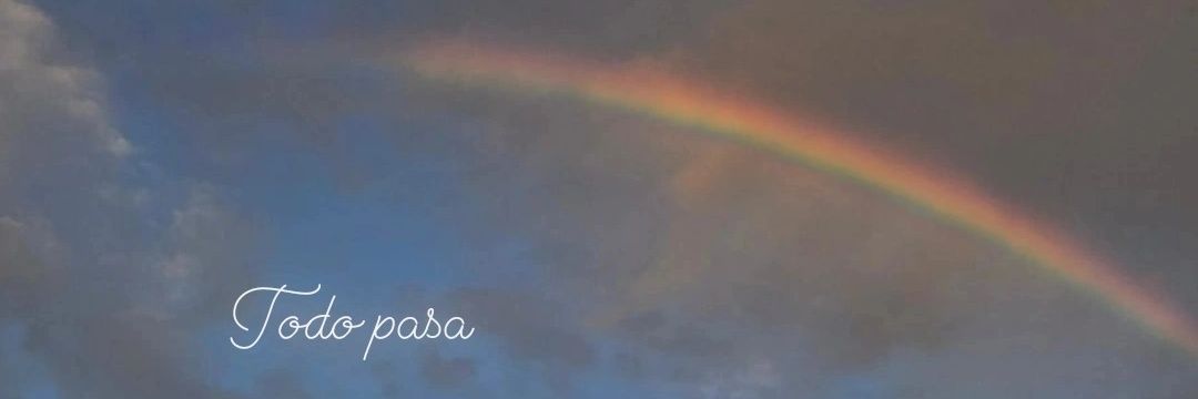 Daniela Falquez banner