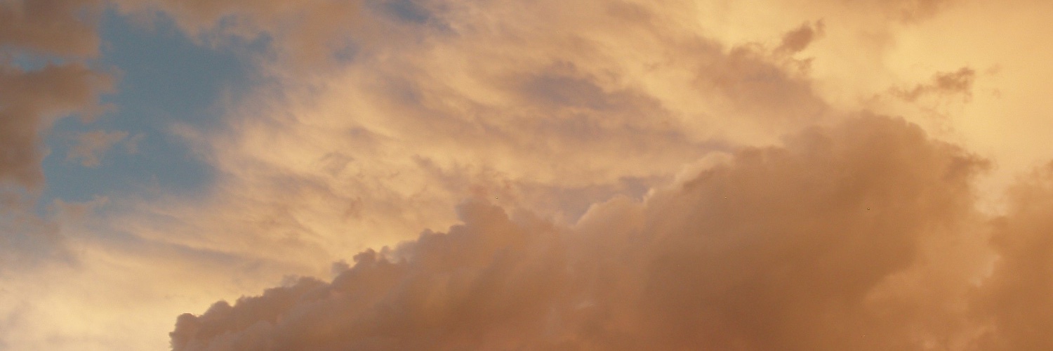 melsssdrn's profile banner image
