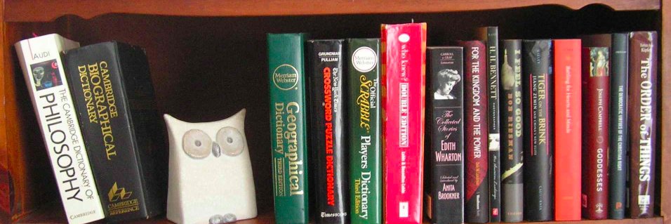 CarolTheIndexer's profile banner image