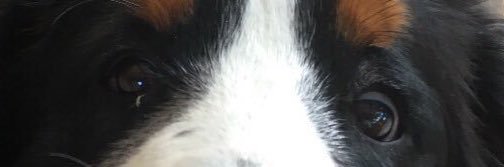 DougLeeson's profile banner image