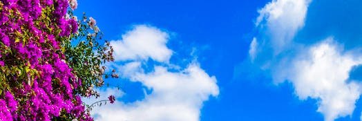 Erman Ataköy banner