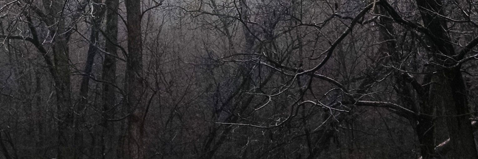 robojenki's profile banner image