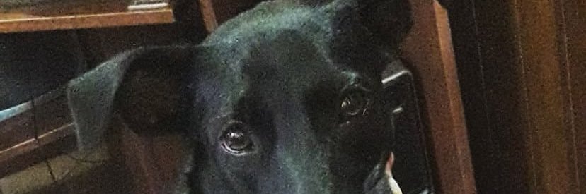 mf_egert's profile banner image