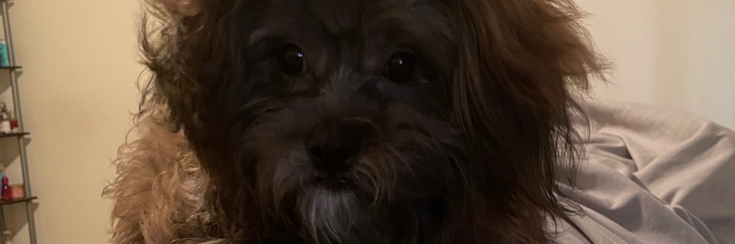 _FilthyRichTia's profile banner image