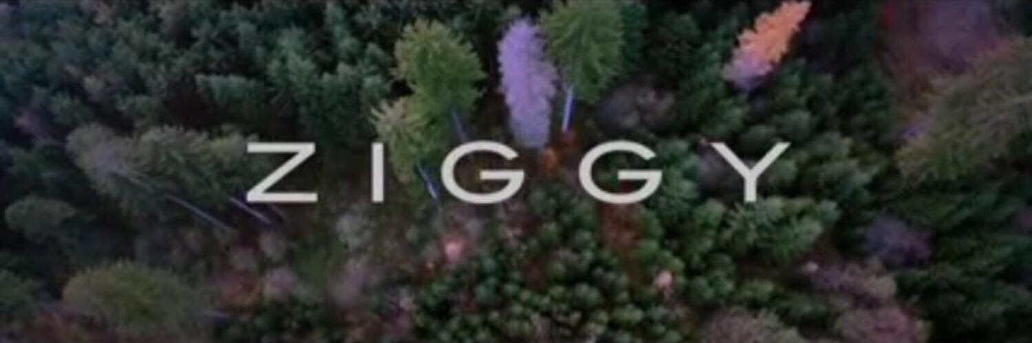 ziggy_wts's profile banner image